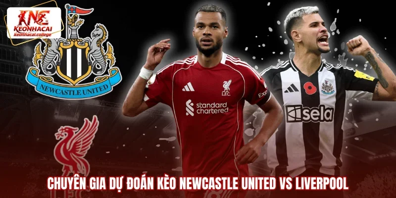 Chuyên gia dự đoán kèo Newcastle United vs Liverpool