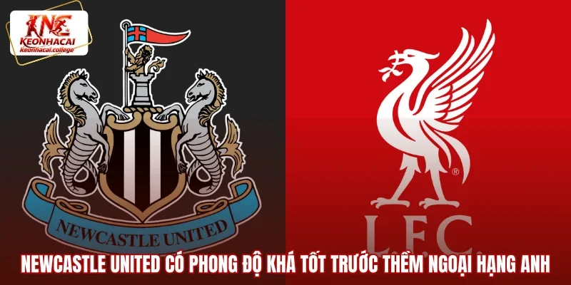 Newcastle United có phong độ khá tốt trước thềm Ngoại hạng Anh